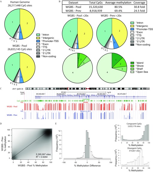 Figure 1A displays two pie charts, namely, Human Genome 28217448 CpG sites and WGBS – Pool 26833145 CpG sites. The pie charts have eight parts each. The labelings for the eight parts are inset as follows: Intron, Intergenic, Promoter-TSS, Exon, TTS, 3 prime UTR, 5 prime UTR, and noncoding. Figure 1B comprises a table and four pie charts. The table has four columns, namely, data set, Total CpGs, average methylation, and coverage. The first pair of pie charts, where the first chart has eight parts and the second chart has four parts, is labeled WGBS – Pool greater than 20x.The second pair of pie charts, where the first chart has eight parts and the second chart has four parts, is labeled WGBS – Prev greater than 20x. The labelings for the charts with eight parts are inset as follows: Intron, Intergenic, Promoter-TSS, Exon, TTS, 3 prime UTR, 5 prime UTR, and noncoding. The labelings for the charts with four parts are inset as follows: Island, Shore, Shelf, and Open Sea. Figure 1C is of a Genome browser displaying DNA methylation tracks from WGBS-Pool and WGBS-Prev data sets on a scale of chr1 (p22.3). Figure 1D is a scatter plot, plotting WGBS – Prev percentage methylation (ranging from 0 to 100 in intervals of 20) (y-axis) across WGBS – Pool percentage methylation (ranging from 0 to 100 in intervals of 20) (x-axis). Data inset is as follows: 5,395,997 sites R superscript 2 equals 0.9264. Figure 1E displays three histograms. The first histogram plots frequency (10 superscript 5) (ranging from 0 to 12 in intervals of 2) (y-axis) across percentage methylation difference (ranging from negative 100 to 100 in intervals of 50) (x-axis). The second histogram plots frequency (10 superscript 5) (ranging from 0 to 10 in intervals of 2) (y-axis) across percentage methylation (ranging from 0 to 100 in intervals of 20) (x-axis) for congruent CpGs 5,022,176 sites. The third histogram plots frequency (10 superscript 4) (ranging from 0 to 6 in intervals of 2) (y-axis) across percentage methylation (ranging from 0 to 100 in intervals of 20) (x-axis) for divergent CpGs 373,821 sites.