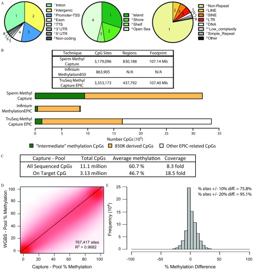 Figure 3A displays three pie charts. The first pie chart has eight parts and the labelings for the eight parts are inset as follows: Intron, Intergenic, Promoter-TSS, Exon, TTS, 3 prime UTR, 5 prime UTR, and noncoding. The second pie chart has four parts and the labelings for the four parts are inset as follows: Island, Shore, Shelf, Open Sea. The third pie chart has eight parts and the labelings for the eight parts are inset as follows: Non-Repeat, LINE, SINE, LTR, DNA, Low complexity, Simple repeat, and other. Figure 3B displays a table with four columns. The first column lists technique. The adjacent columns list CpG sites, regions, and footprint. It also displays a comparison of the sites analyzed on a scale ranging from 0 to 35 in intervals of 5 (times 10 supercript 5), marking “Intermediate” methylation CpGs, 850K derived CpGs, and Other EPIC-related CpGs across three techniques (y-axis): Sperm Methyl Capture, Infinium MethylationEPIC and TruSeq Methyl Capture EPIC. Figure 3C is a table with four columns, namely, capture-pool, total CpGs, average methylation, and coverage. Figure 3D is a scatter graph plotting WGBS – Pool percent Methylation (ranging from 0 to 100 in intervals of 20) (y-axis) across capture – pool percent methylation (ranging from 0 to 100 in intervals of 20) (x-axis) Inset is 767,417 sites R superscript 2 equals 0.9682. Figure 3E is a histogram, plotting frequency (10 superscript 4) (ranging from 0 to 25 in intervals of 5) (y-axis) across percentage methylation difference (ranging from negative 100 to 100 in intervals of 50) (x-axis). Inset is percentage sites plus or minus 10 percent difference equals 75.8 percent and percentage sites plus or minus 20 percent difference equals 95.1 percent.