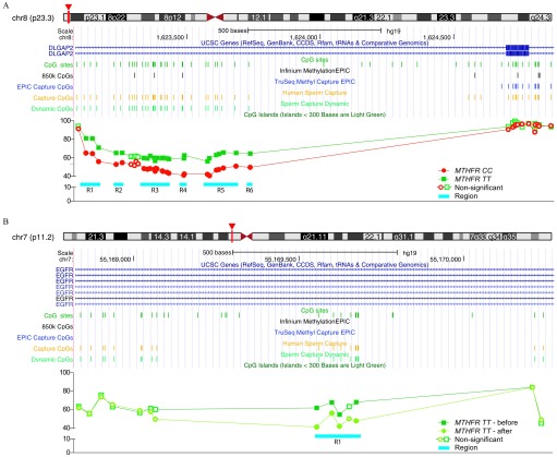 Figure 8A is a Genome browser, displaying differential methylation in men with MTHFR 677CC compared with 677TT genotype. The data is represented on a scale of chr8 (p23.3). They keys inset are as follows: MTHFR CC, MTHFR TT, nonsignificant, and region. Figure 8B is a Genome browser, displaying differential methylation in men with MTHFR 677CC compared with 677TT genotype subjects who have been supplemented with high-dose folic acid. The data is represented on a scale of chr7 (p11.2). The keys inset are as follows: MTHFR TT-before, MTHFR TT-after, nonsignificant, and region.