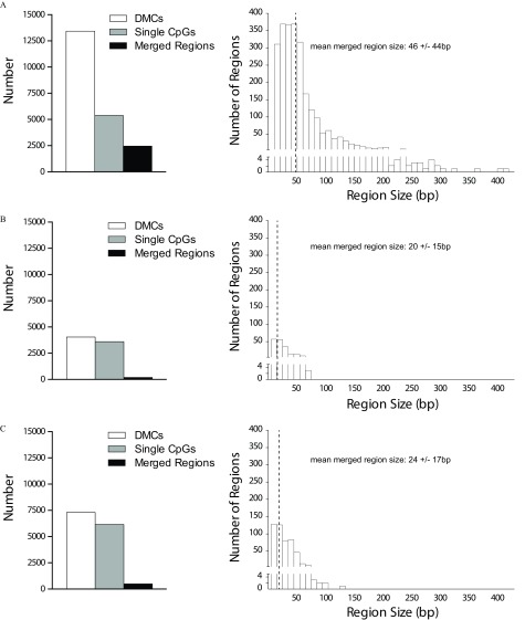 Figures 7A, 7B, and 7C display two bar graphs each, where the first bar graph in each of the three figures plot number (ranging from 0 to 15,000 in intervals of 2,500) (y-axis) across x-axis, representing DMCs, Single CpGs, and merged regions. The second bar graph in Figures 7A, 7B, and 7C plot number of regions (ranging from 0 to 400 in intervals of 50) (y-axis) across region size (ranging from 0 to 400 bp in intervals of 50) (x-axis), representing mean merged region size as 46 plus or minus 44 bp; 20 plus or minus 15bp; and 24 plus or minus 17bp, respectively. There is a break in the graph and its data in each of the three figures, represented by a horizontal space running parallel to the x-axis and starting from point 4 on the y-axis.