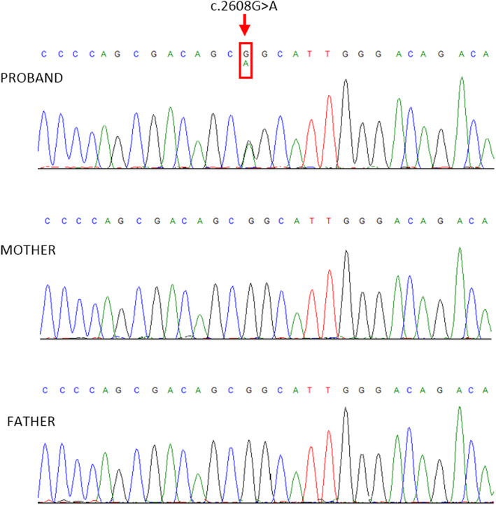 Fig. 2