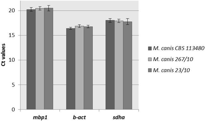 Figure 4