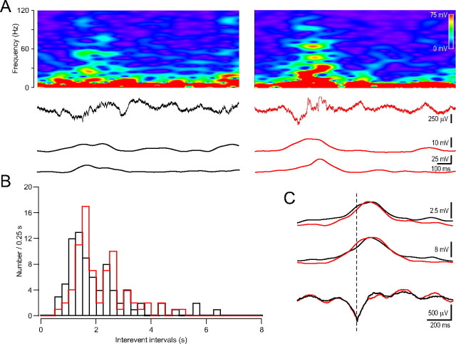 Figure 9.