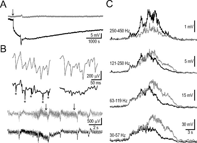 Figure 10.