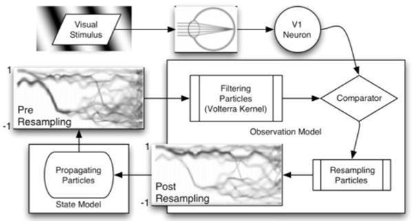 Figure 12