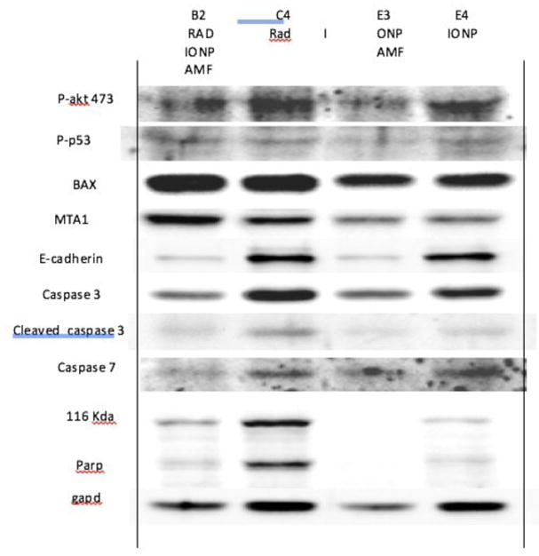 Figure 19