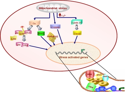 Figure 10.