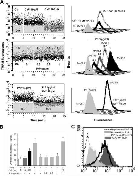 FIGURE 5: