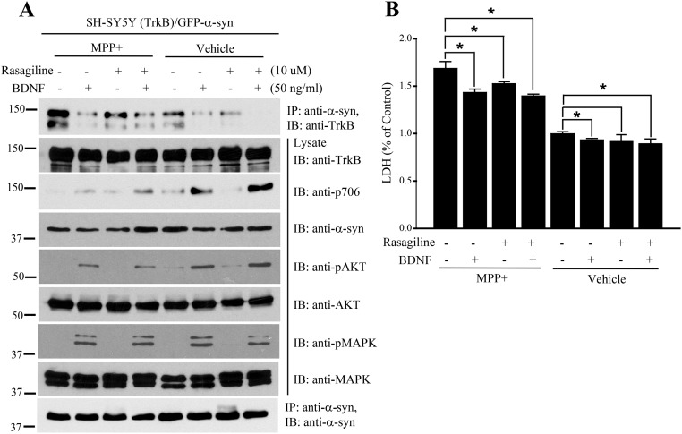 Fig. S4.