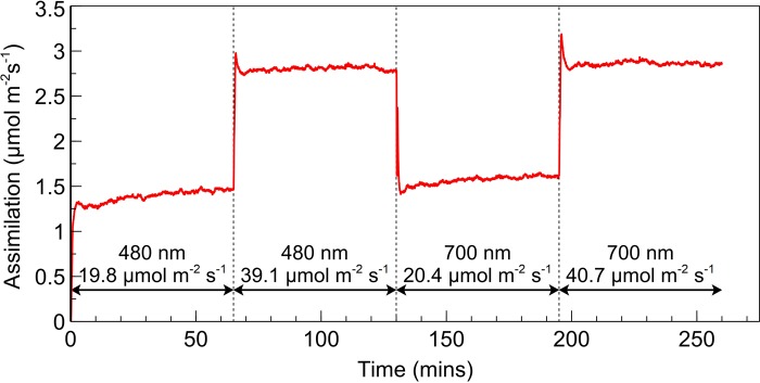 Figure 4.