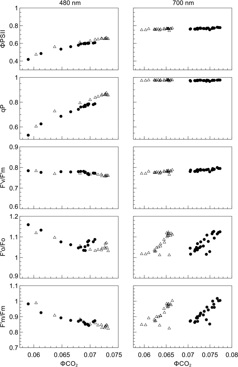 Figure 10.