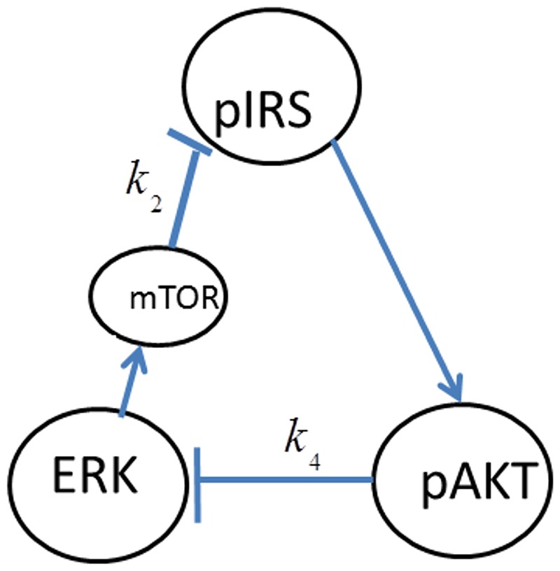 Fig 21