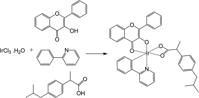 Scheme 1