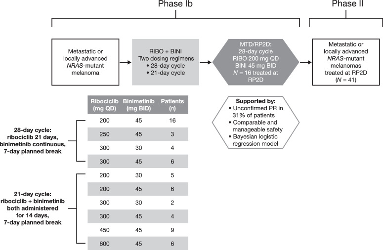 Figure 1. Study design. BINI, binimetinib; RIBO, ribociclib.