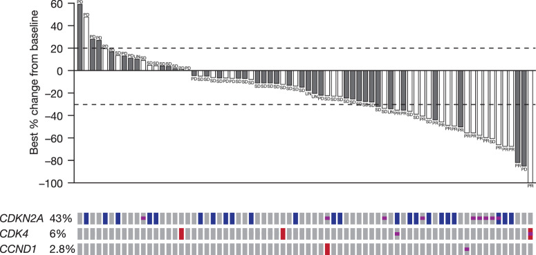 Figure 3. Tumor change from baseline by presence of cell-cycle alterations. Waterfall plot of best change from baseline (%) tumor in evaluable patients (top). Dark gray bars = no cell-cycle gene alterations; light gray bars = cell-cycle gene alterations. Oncoprint of cell-cycle gene alteration (16) by patient (bottom). Red rectangles are amplification, blue rectangles are loss of copy, and purple squares are short variants. The biomarker analysis set consisted of all patients who provided a biomarker sample for DNA sequencing and had at least one reported result, even if the result was that no gene alteration was found. UN, unknown.