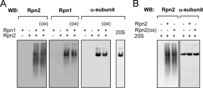 FIGURE 9.