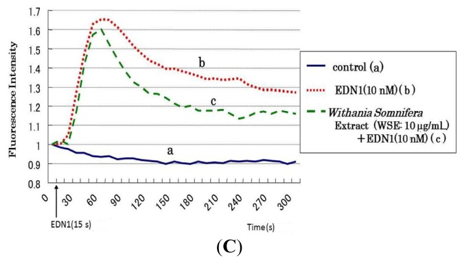 Figure 7.