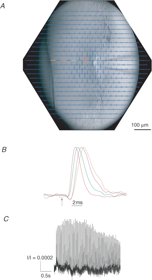 Figure 4