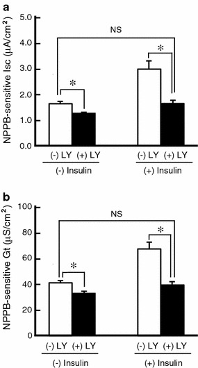 Fig. 6