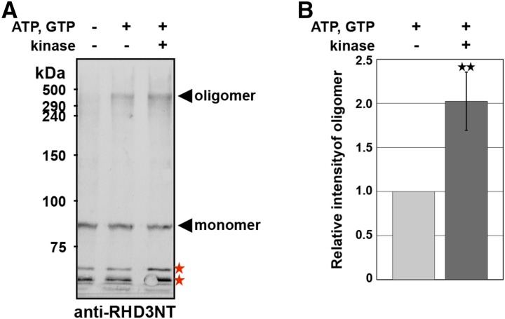 Figure 10.