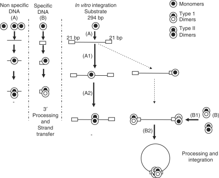 Figure 10.