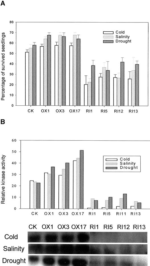 Figure 10.