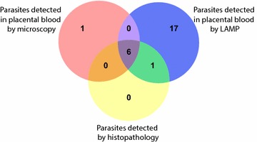 Fig. 2