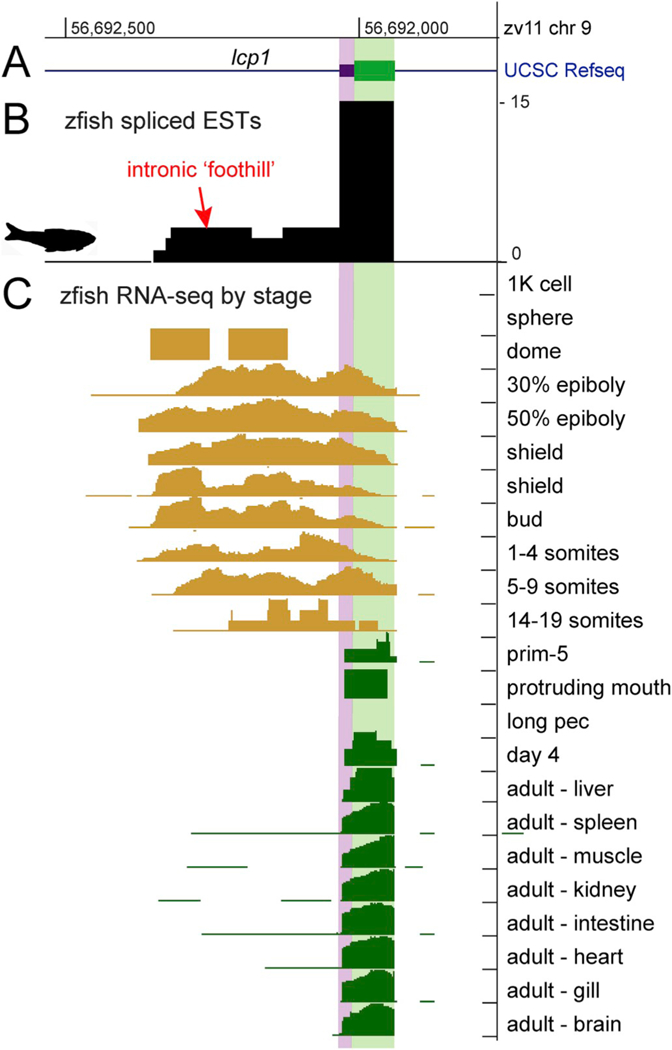 Fig. 8.