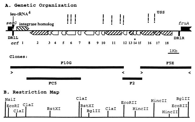 FIG. 1