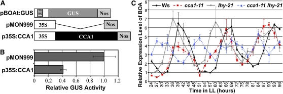 Figure 5.