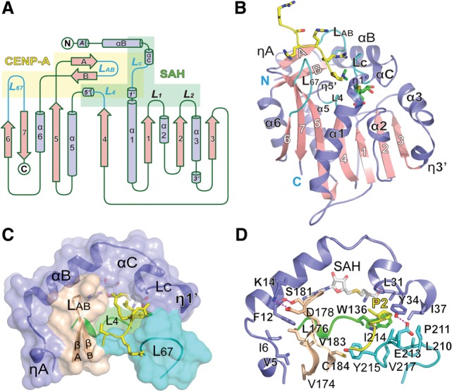 Figure 1.