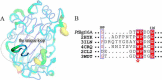 FIGURE 9.