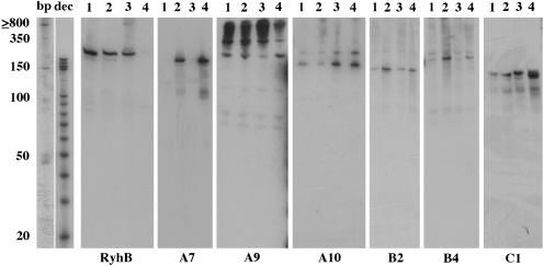 Figure 5