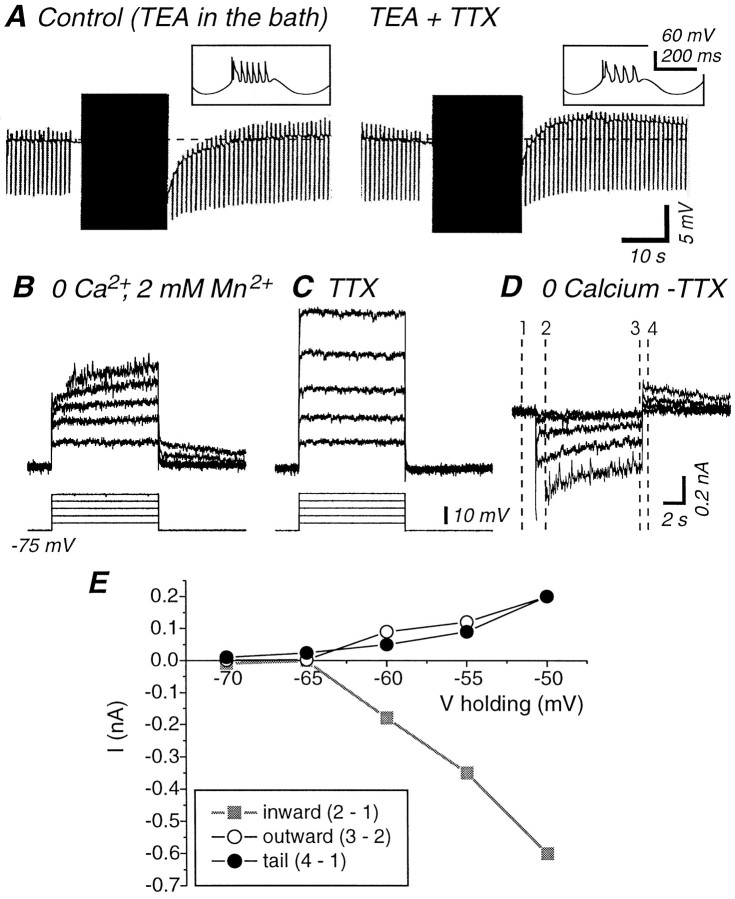 Fig. 11.