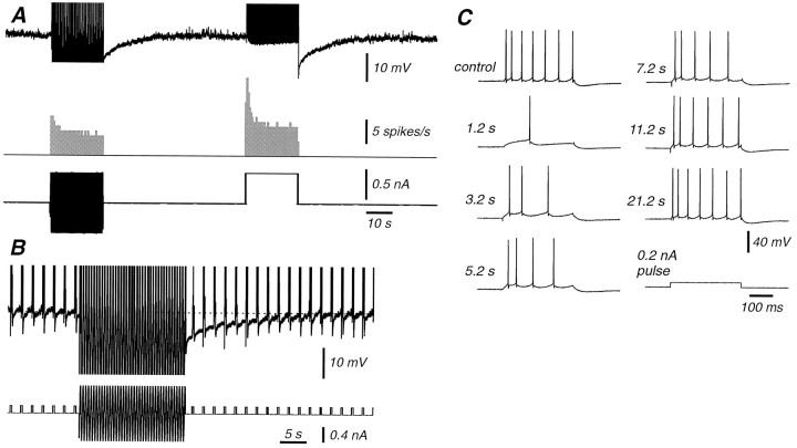 Fig. 12.