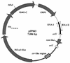 FIG. 1.