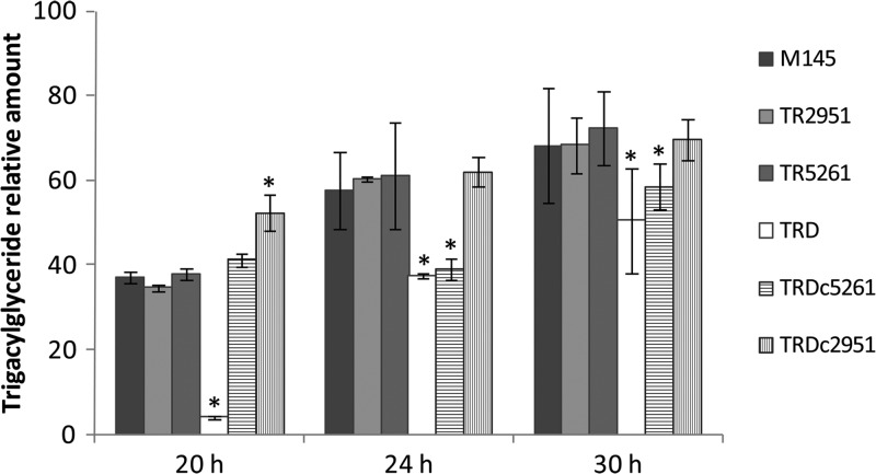 Fig 6