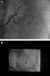 Figure 4
