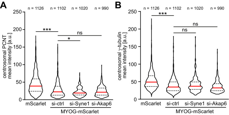 Figure 5—figure supplement 2.