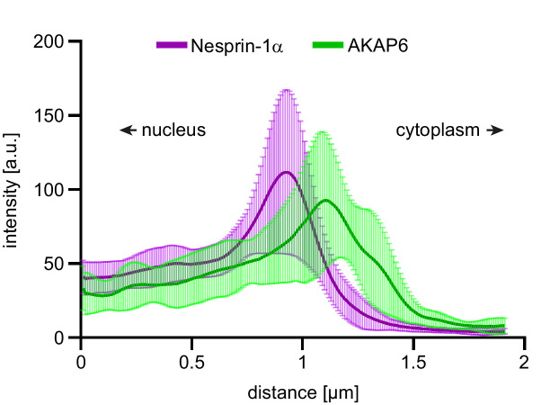 Figure 4—figure supplement 2.