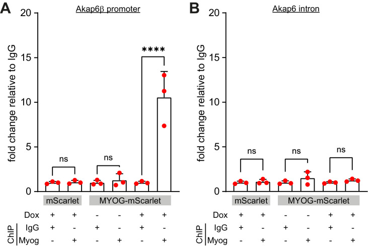 Figure 4—figure supplement 1.