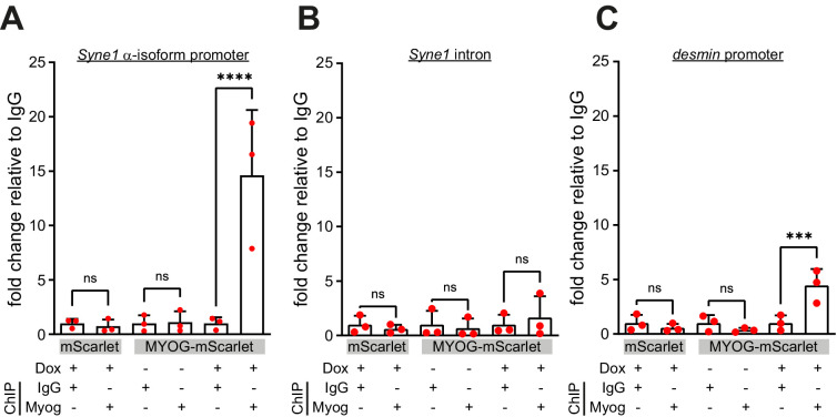 Figure 2—figure supplement 2.