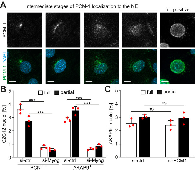 Figure 1—figure supplement 1.