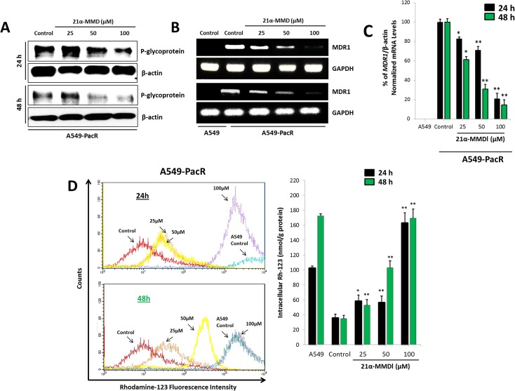 Fig 6