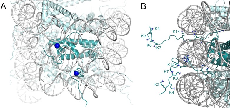 Fig 4