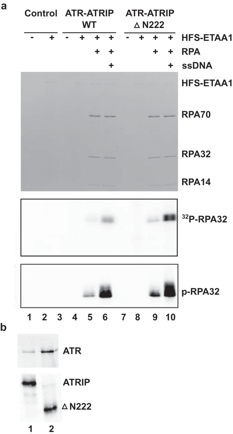 Figure 7.