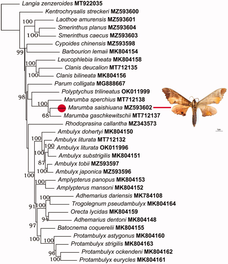 Figure 1.