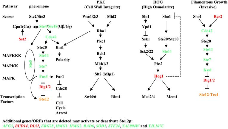 Fig 2.