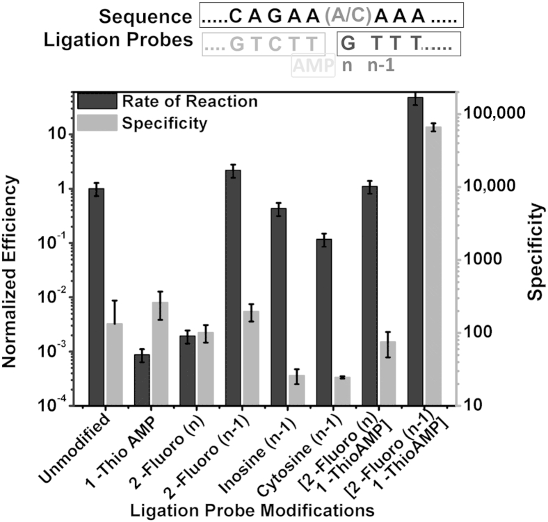 Figure 5