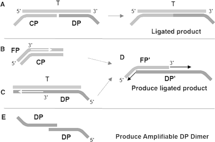 Supplemental Figure S4